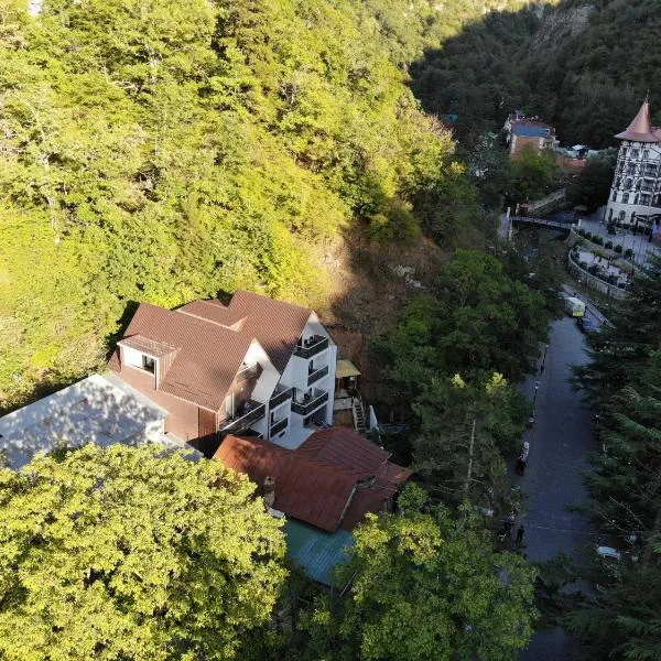 Borjomi UnderWood, hotel en Borjomi