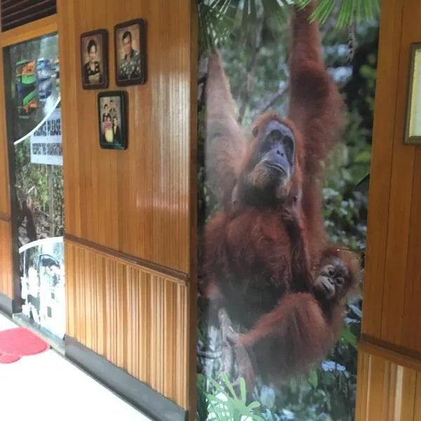 Arut Riverside Guesthouse, hotel Pangkalan Bunban