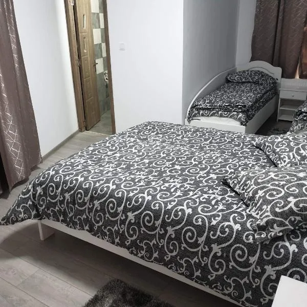 Pensiunea Gallamar, hôtel à Bîrlad