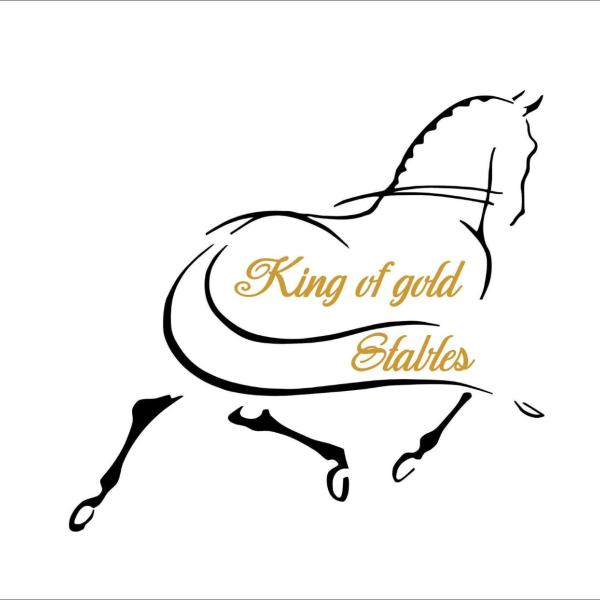 King of Gold Stables appartement met stalling voor 5 paarden