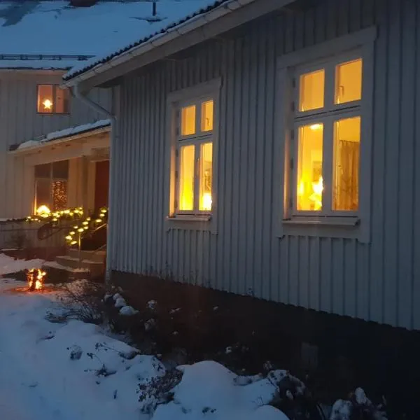 Torsby Vandrarhem, hotel in Torsby