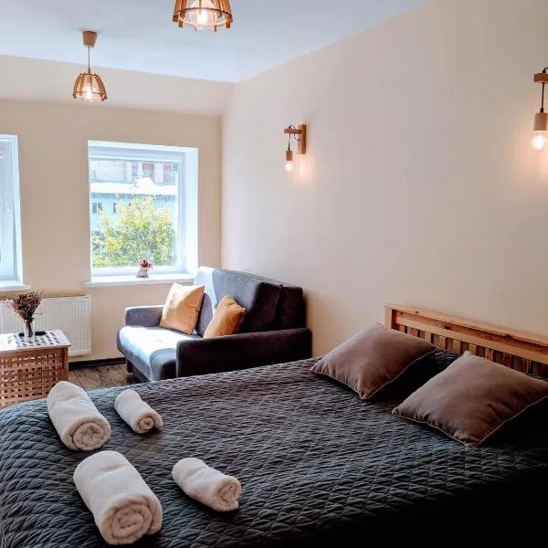 Guest House Kamara, hotel v destinaci Panevėžys