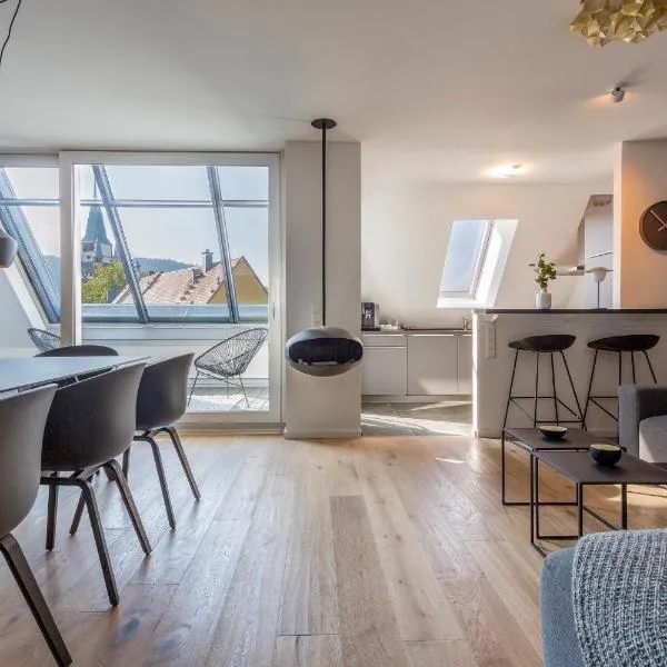 cosy grey apartments, hotel en Freiburg im Breisgau