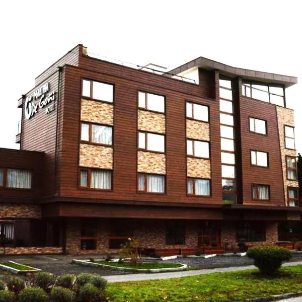 Martina de Goñi, hotel in Pucón