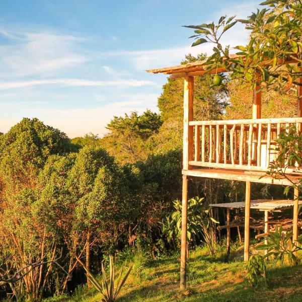 Nanatu Spacious peaceful cabin in Parque Arvi, Medellín