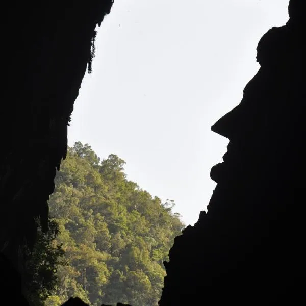 Mulu National Park, hotel in Mulu