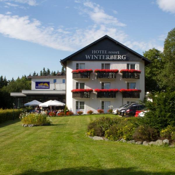 Hotel Winterberg Resort