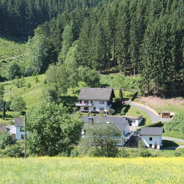 Holiday Home Rehsiepen, ξενοδοχείο σε Schmallenberg