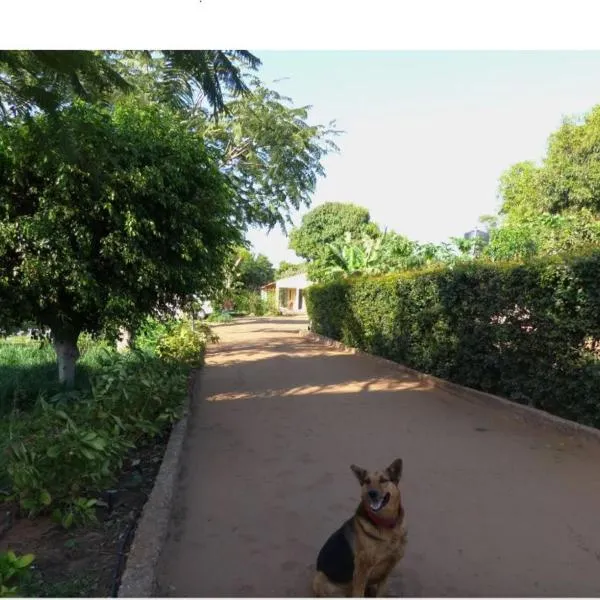 Ancha's Oasis, hotel in Maputo