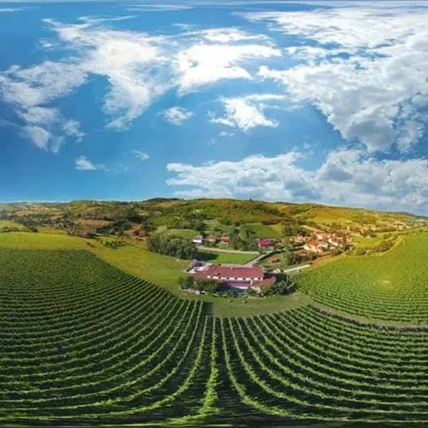 Stupnički Dvori Winery Hotel, hotel a Brodski Stupnik