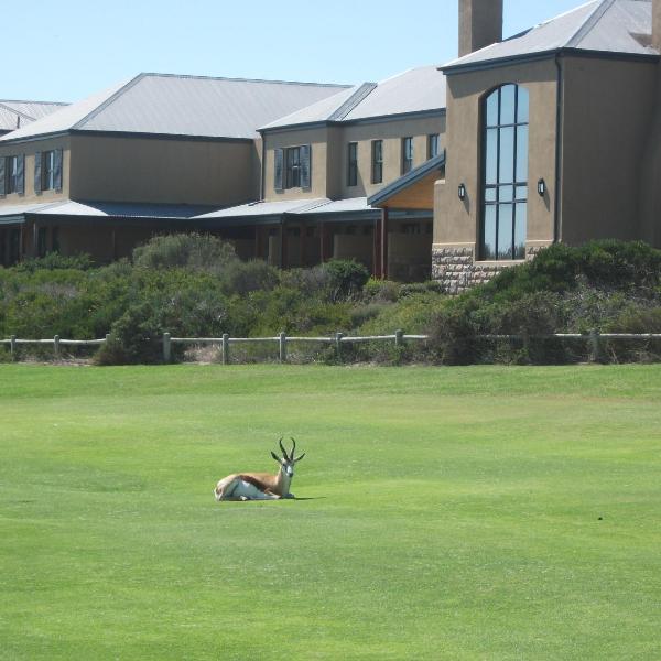 The Lodge at Atlantic Beach