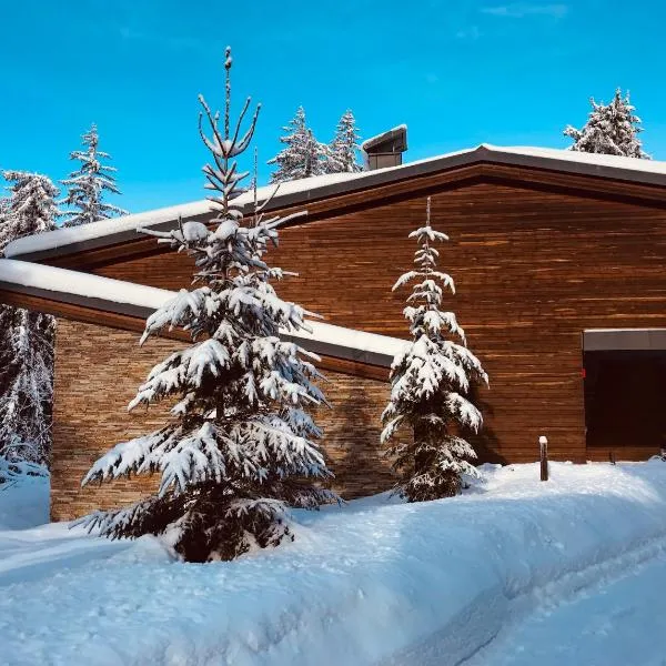 Borovets Chalets, hotel in Borovets