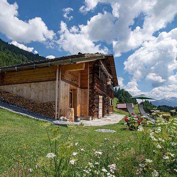 Chalet Berghaus Bartholomäberg