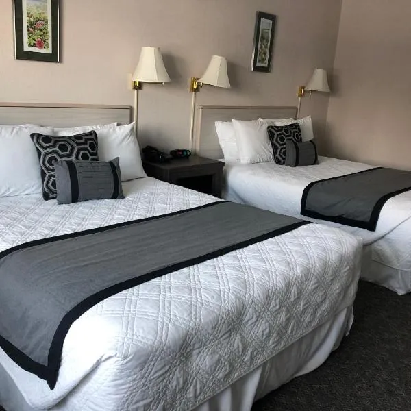 Aurora Denali Lodge, hotel in Healy