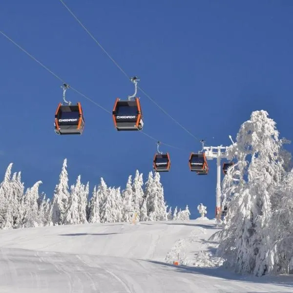 Mobilheime, hotel in Klaffer am Hochficht