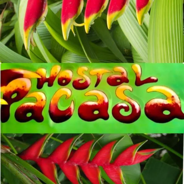 PaCasa Hostel, hotel v destinaci David