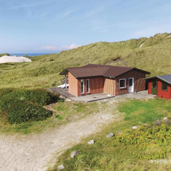 Stunning Home In Ringkbing With House A Panoramic View