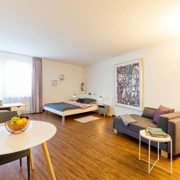 Apartmenthaus zum Trillen Basel City Center, hotel v Basileji