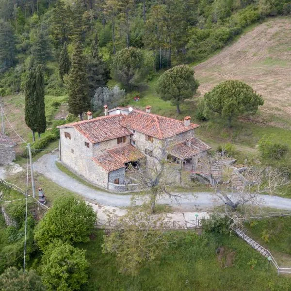 Fattoria di Cintoia, hôtel à Pontassieve