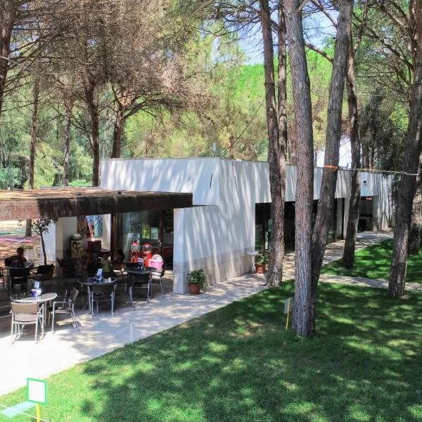 Spinnaker, hotell sihtkohas Oristano