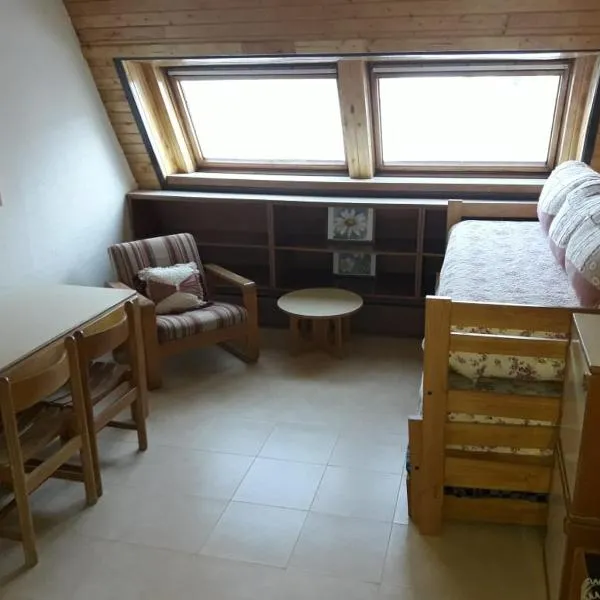 Colorina Las Leñas - Consorcio ATENAS, hotel em Las Leñas