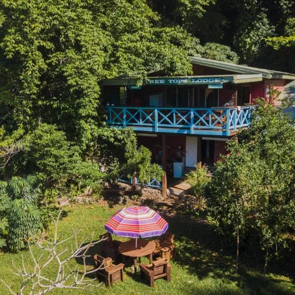 Treetops BnB & Bungalows: Port Vila şehrinde bir otel