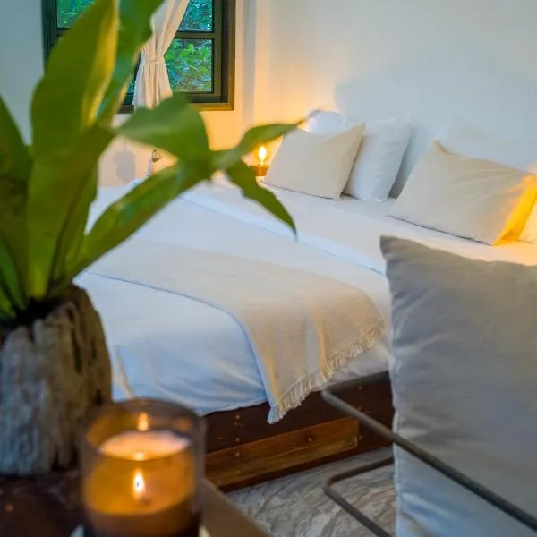 Big Tree Boutique Hotel，位于涛岛的酒店
