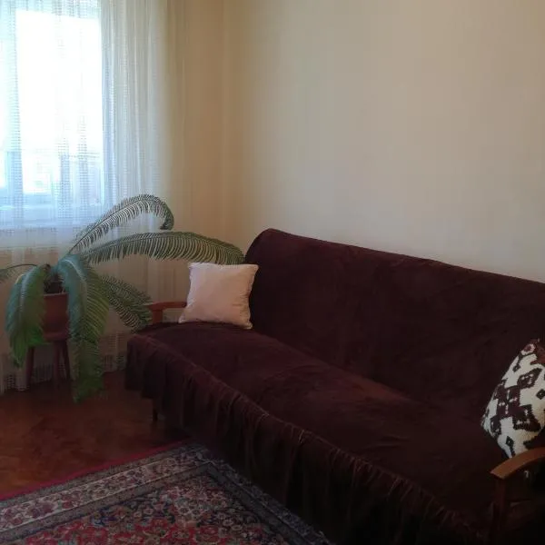 Sara Apartman, hótel í Târgu-Mureş