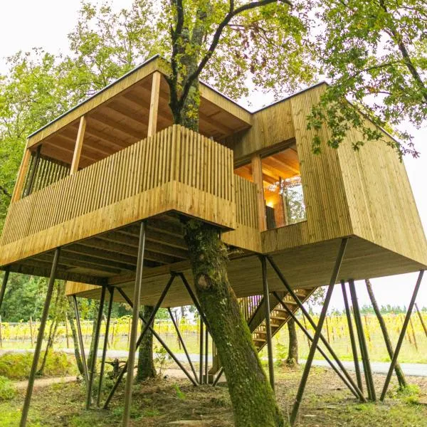 Cabañas Enoturismo María Manuela, hotel v destinaci Pousada