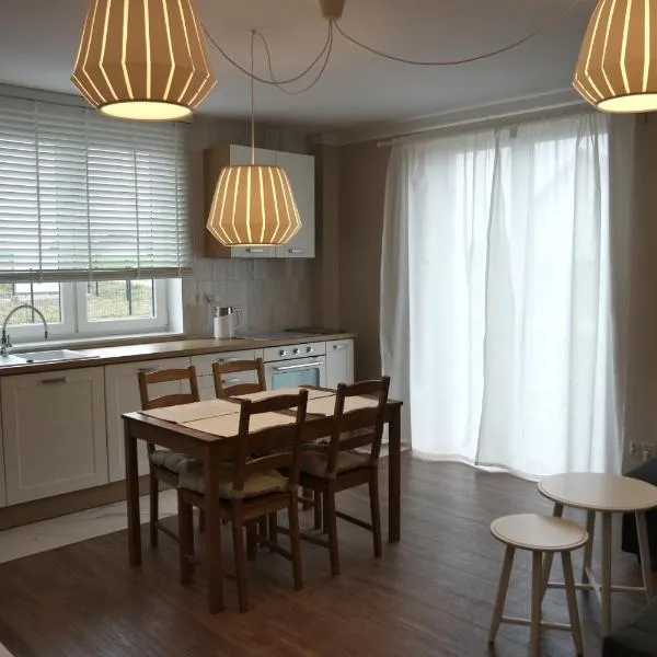 Apartamenty przy Winnicy、ブスコ・ズドロイのホテル