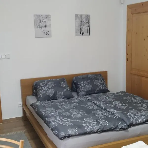 Ubytování Na Vyhlídce 143, hotel v destinaci Benátky nad Jizerou