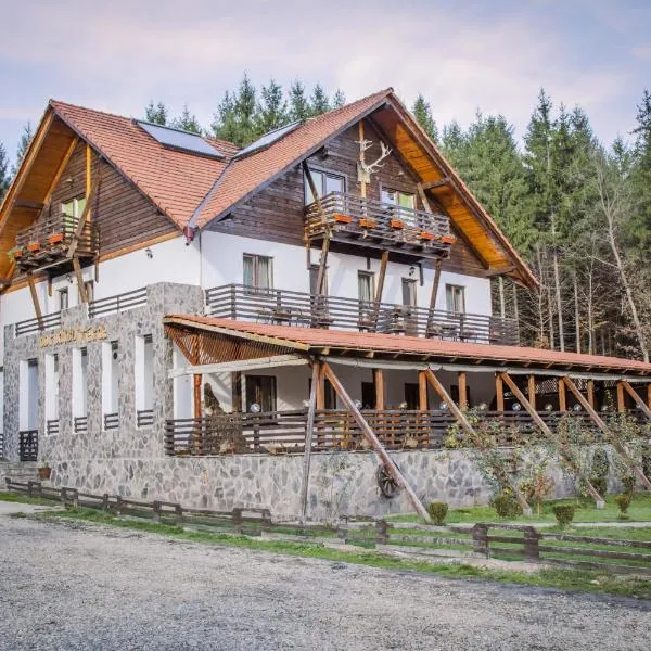 Paradisul Verde、Breteaのホテル