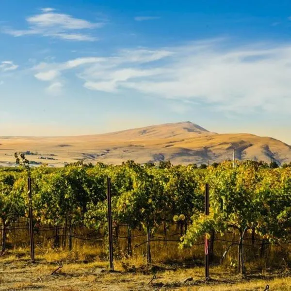 Holiday Inn Express & Suites - Union Gap - Yakima Area by IHG, hotel a Union Gap