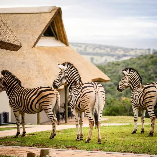 Jbay Zebra Lodge, hotel in Longmore