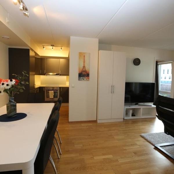 OSLO CITY CENTER 3 BEDROOMS APARTMENT, MANDALLS GATE 12