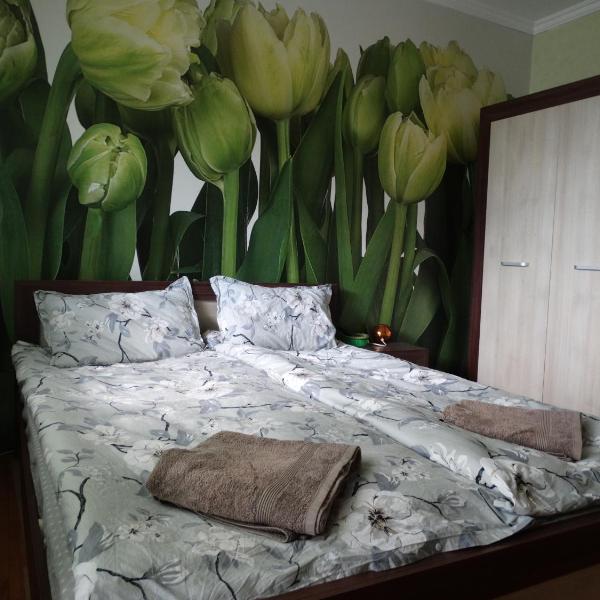 Tulips - guest room close to the Airport, free street parking