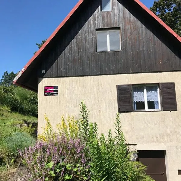 Chata u koupaliště, hotel in Chřibská