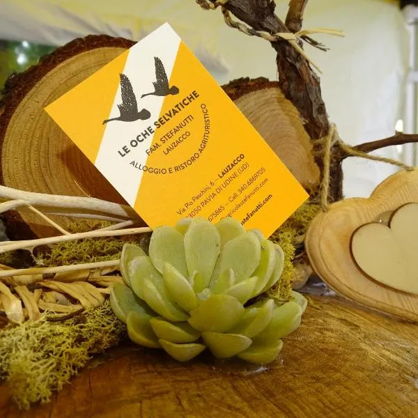 Agriturismo Le oche selvatiche, hotel v destinaci Lauzacco