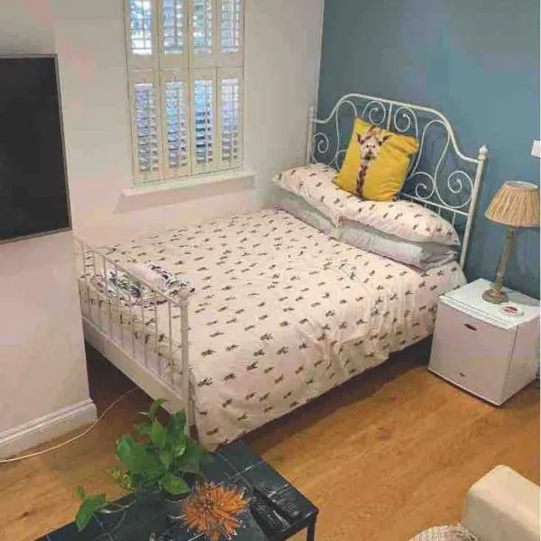 Stylish Modern Studio, Mock Georgian House, Heart of Trendy Hackney & London, hotel en Londres