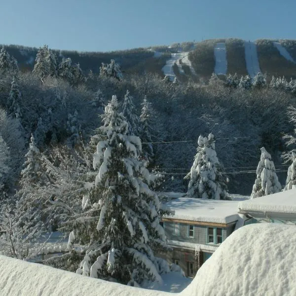 Townhouse W Private Deck & Mt View, hôtel à Windham