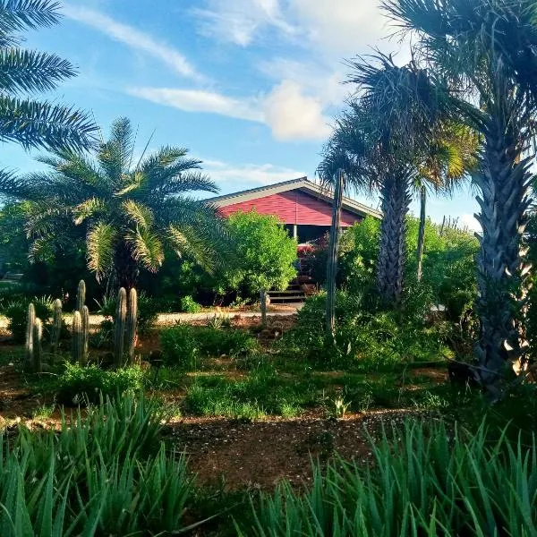 Red Palm Village, Hotel in Kralendijk