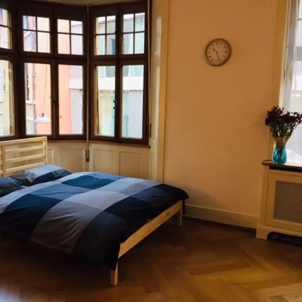 Apartment Marktplatz，位于巴塞尔的酒店