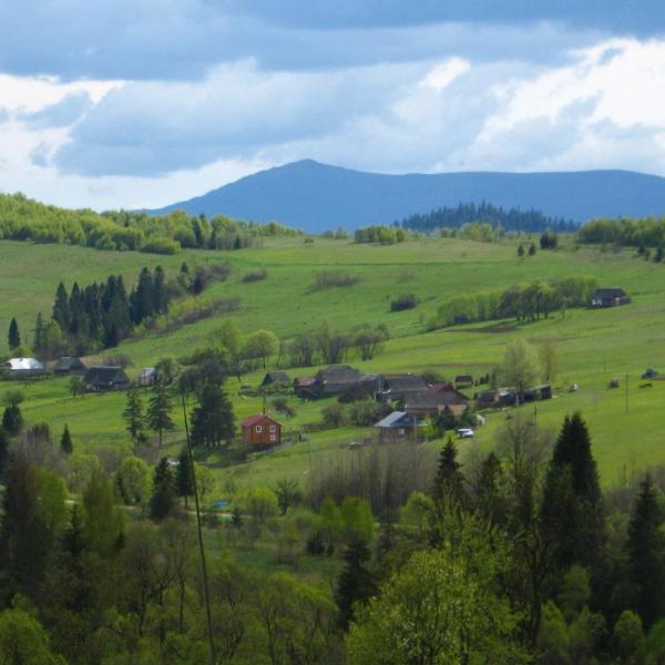 Полонянка, Bukovinka