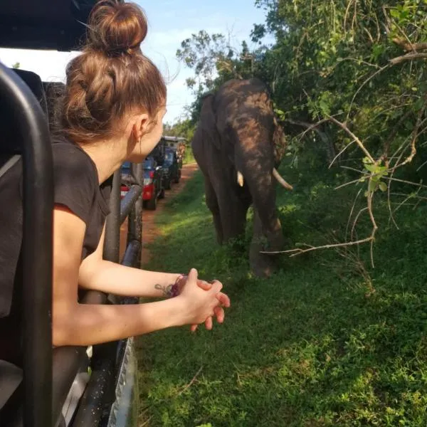 Lavender Home Yala Safari，位于蒂瑟默哈拉默的酒店