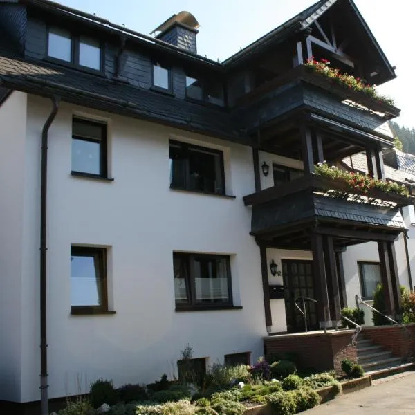 Ferienwohnung Ortsmitte-Willingen, hotel in Willingen
