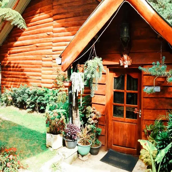 沐恩普莱斯森林小木屋，位于努沃勒埃利耶的酒店