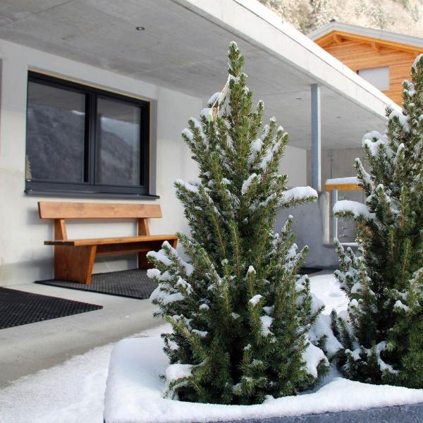 Allmi Appartement