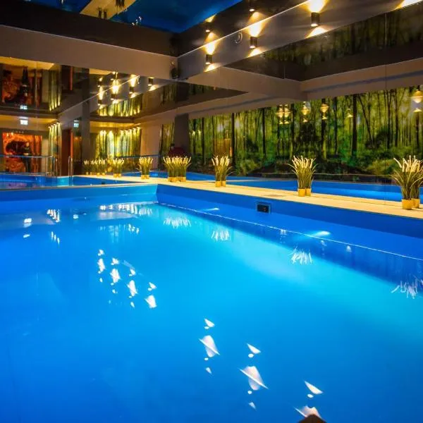 Srebrny Bucznik Wellness & Restaurant, hotel in Istebna