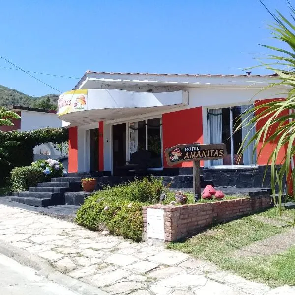 Amanitas Hotel, hotel in Villa Carlos Paz