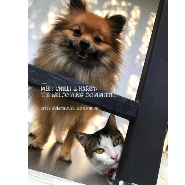 Kitty Guesthouse, hôtel sur les Îles Phi Phi